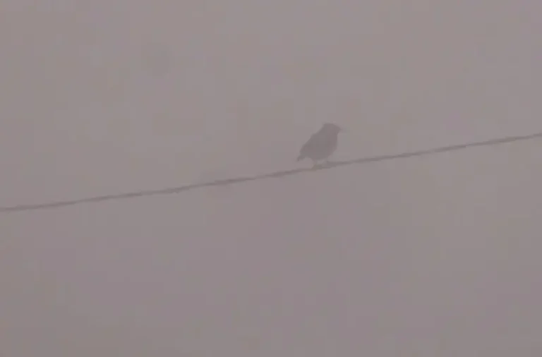 rtrgrtg-695163573431c