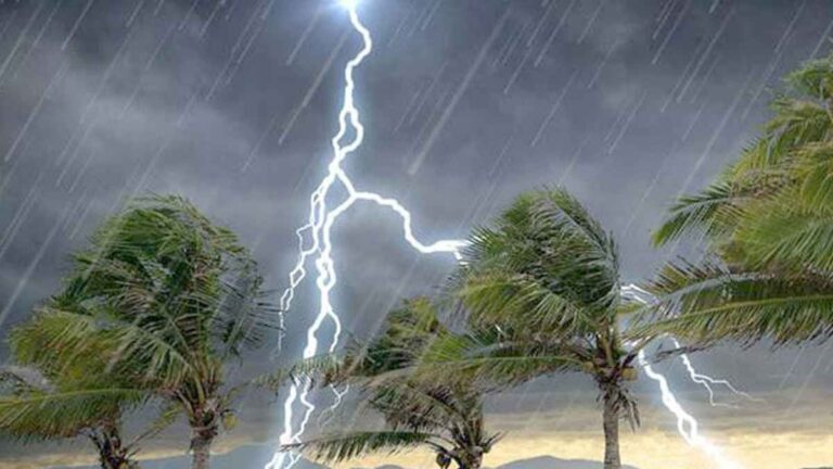 thander_20231004_122431611