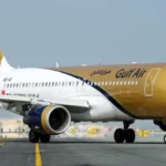 বিশেষ-ফ্লাইটের-ব্যবস্থা