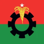 Bangladesh-Nationalist-Party-flag