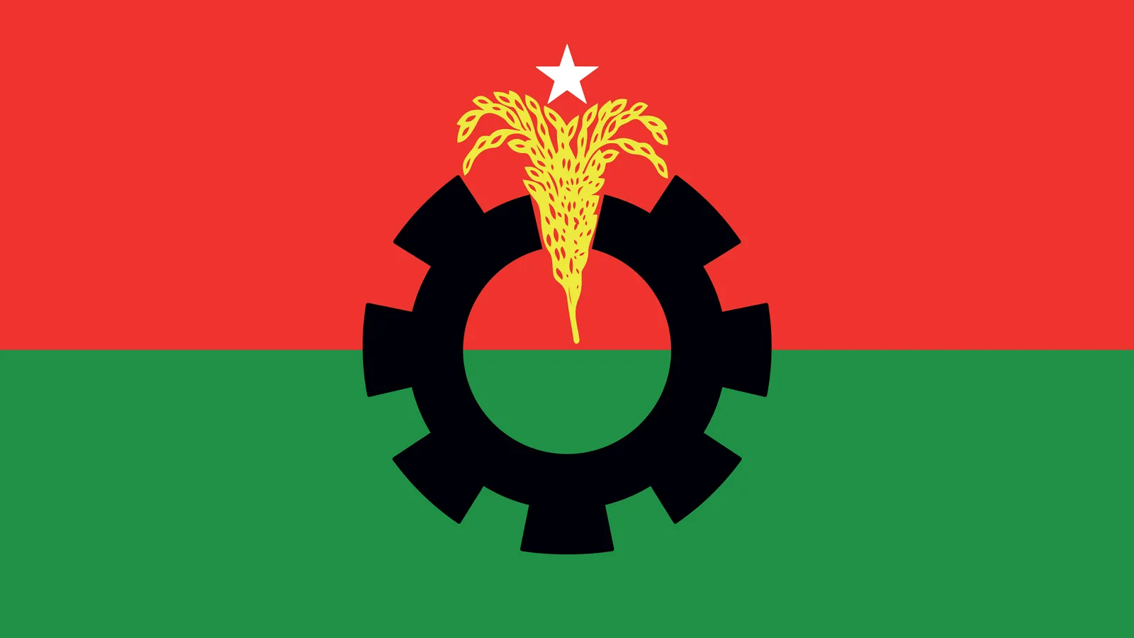 Bangladesh-Nationalist-Party-flag